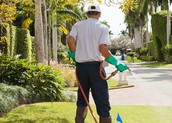 About Derby VT Pest Control Pros